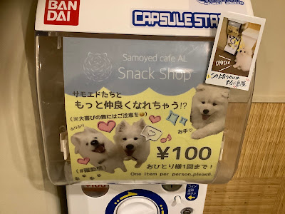 Samoyed Café AL Kyoto Kawaramachi Branch 사진 3