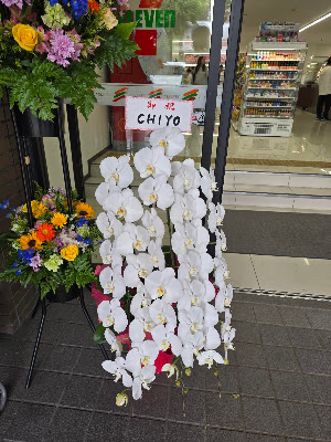 7-Eleven Higashiyama Sennyuji 사진 4