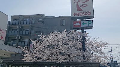 Fresco - Uji 사진 2
