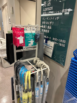 Lawson S Otowa Rehabilitation Hospital 사진 2