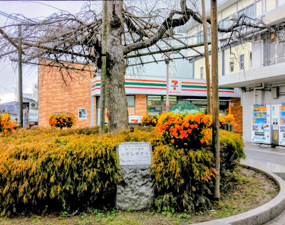 7-Eleven 사진 5
