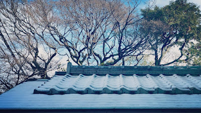 전심암 사진 5