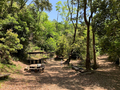 Nagaokakyo Municipal Nishiyama Camping Ground 사진 3