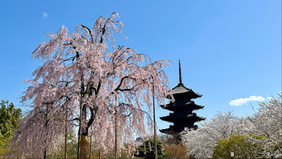 Kyoto Toka inn京都東華inn 사진 3