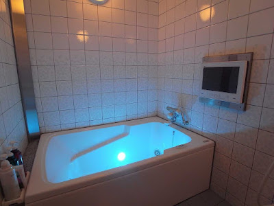 Kameoka Torokko Hotel 사진 3