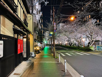 린 마츠바라 타카세가와 사진 3