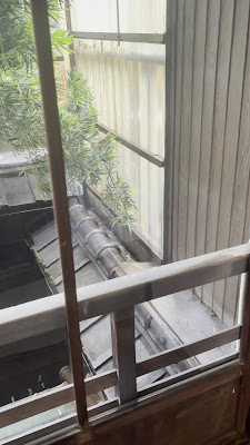 유루루 사진 2