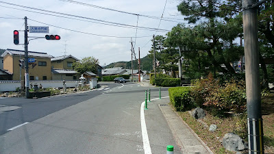 Nogiku 사진 4