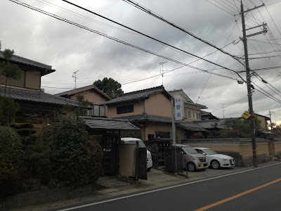 Nogiku 사진 5