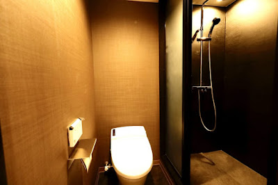 Kyoto Pleasant Hotel 사진 3