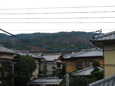 kyonosato 京の里 사진 4