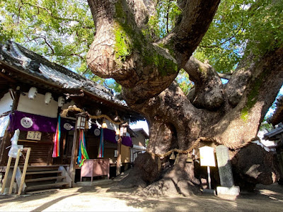 Mitsushima Shrine