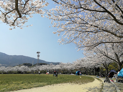히바루 스포츠 공원 사진 2