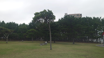 Nagatare Seaside Park 사진 3