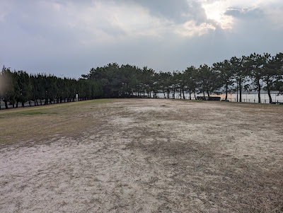 シーサイドももち海浜公園 多目的広場