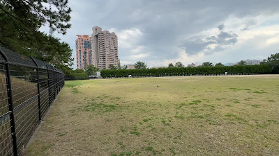 シーサイドももち海浜公園 多目的広場 사진 3