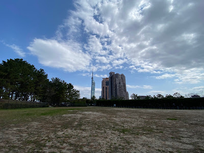 シーサイドももち海浜公園 多目的広場 사진 4