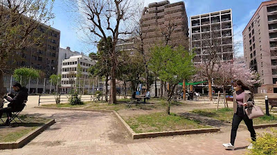 나가하마 공원 사진 3
