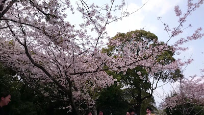 Futsukaichi Park 사진 4