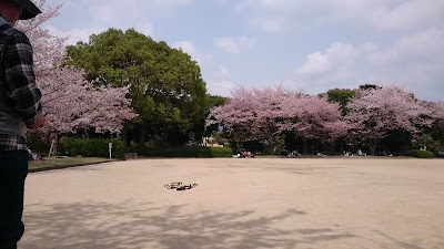 Futsukaichi Park 사진 3
