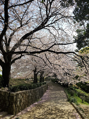 Futsukaichi Park 사진 2