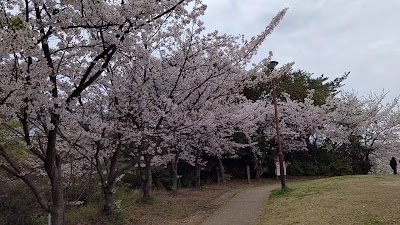 Sohara Park 사진 3