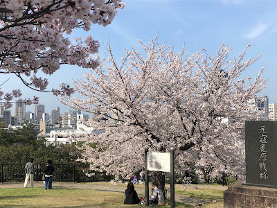 Sohara Park 사진 2