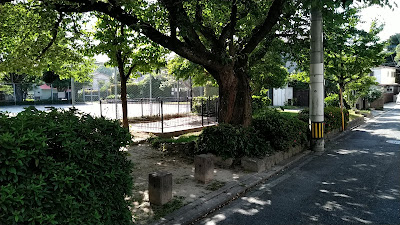 사쿠라자카 공원 사진 5