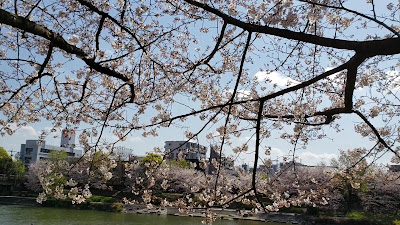 Minoshimaminami Park 사진 3
