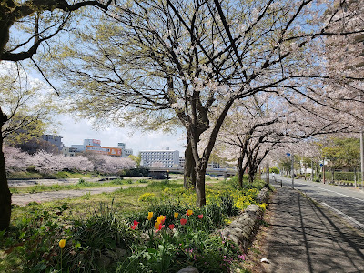 Minoshimaminami Park 사진 4