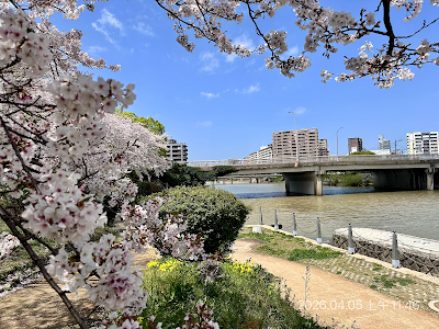 Minoshimaminami Park 사진 5