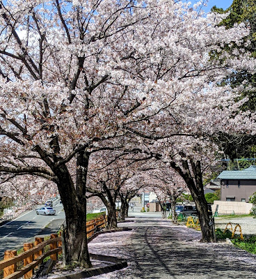 Umi Park 사진 2