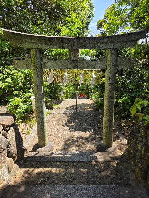 Umi Park 사진 5