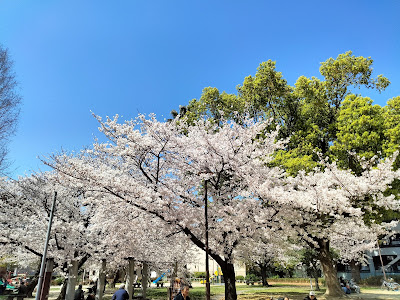 Sumiyoshi Park 사진 4
