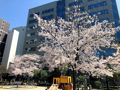 Mizuho Park