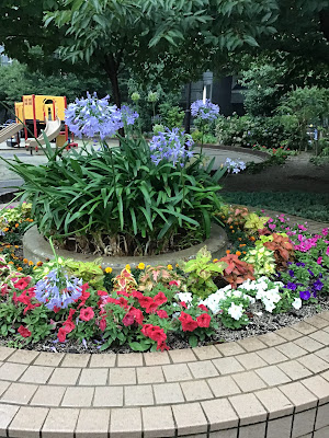 Mizuho Park 사진 5