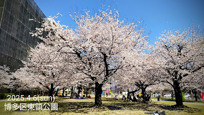 Touryou Park 사진 2