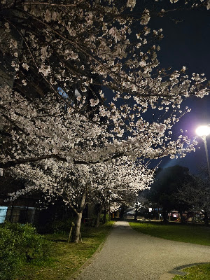Touryou Park 사진 5