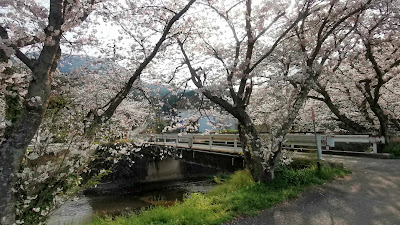Nakajima Mizube Park 사진 3