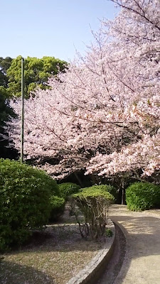 Shime Park 사진 3