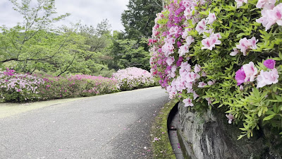 Sarayama Park 사진 3