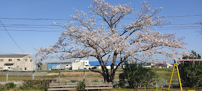 Ae Park 사진 3