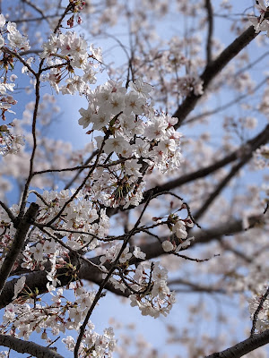 Ae Park 사진 2