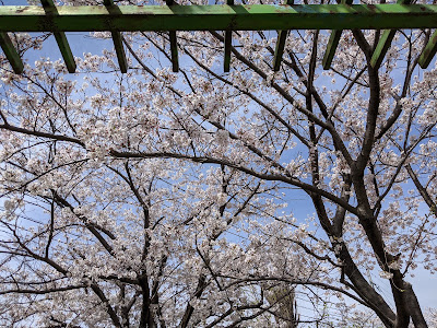 Ae Park 사진 4