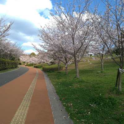 Aoba Park 사진 4