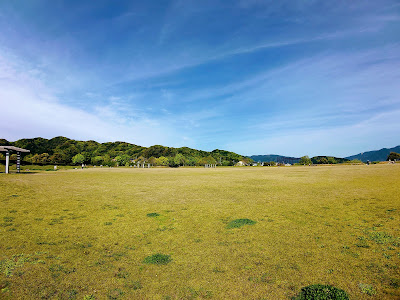 Aoba Park 사진 5
