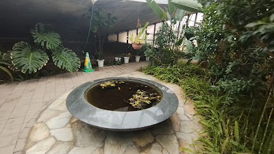 Experimental Learning Facility GRIN-GRIN 사진 3