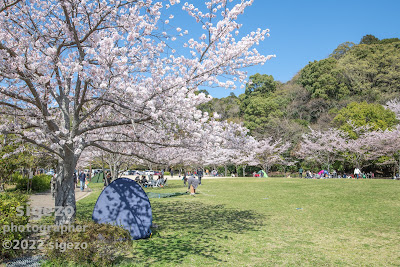 Nagatani Dam Memorial Park 사진 2