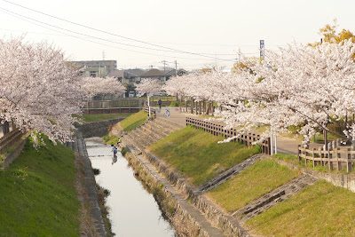 Yokomine Park 사진 2
