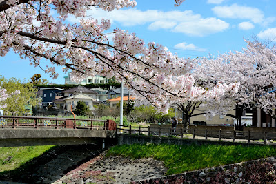Yokomine Park 사진 3